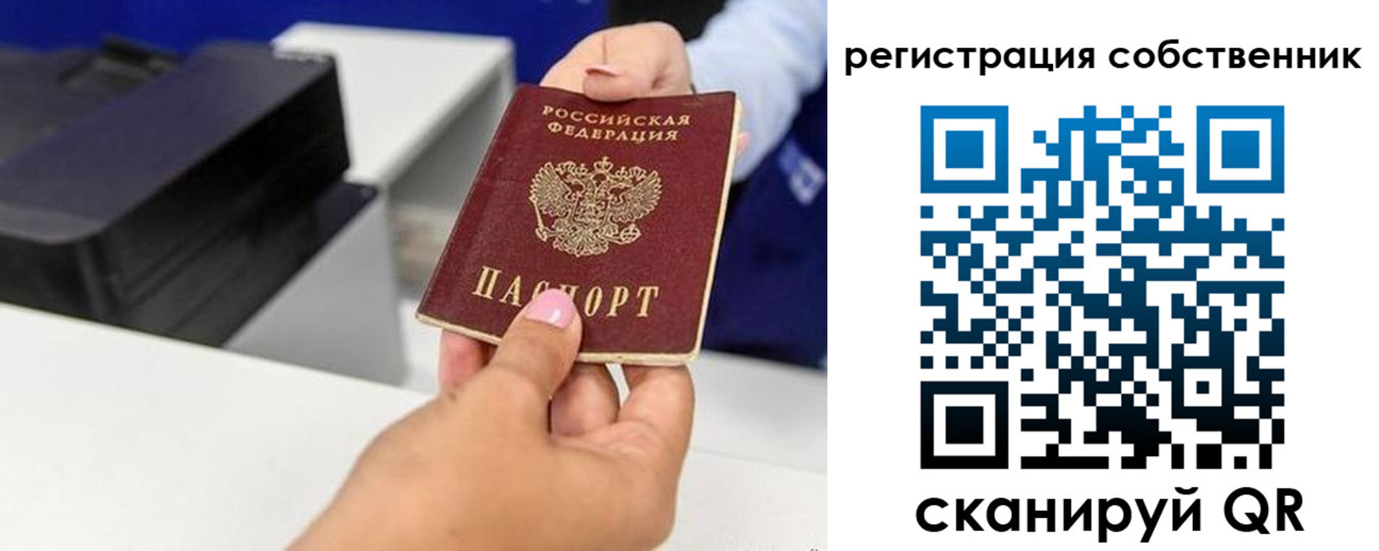 прописка для школы в Железногорск-Илимском